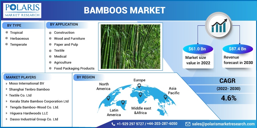 Bamboos Market