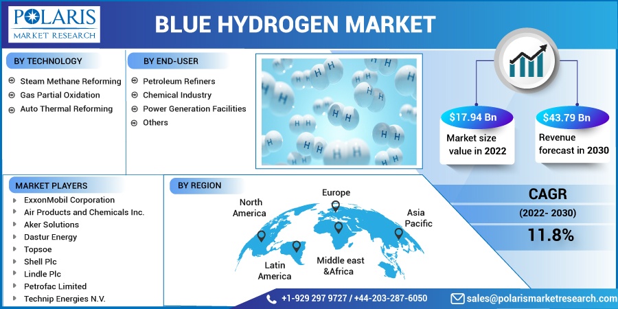 Blue Hydrogen Market