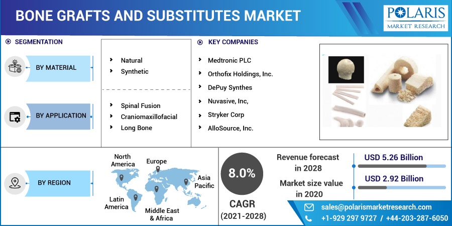 Bone Grafts And Substitutes Market
