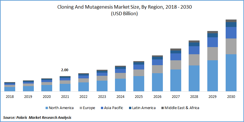 Cloning And Mutagenesis Market Size