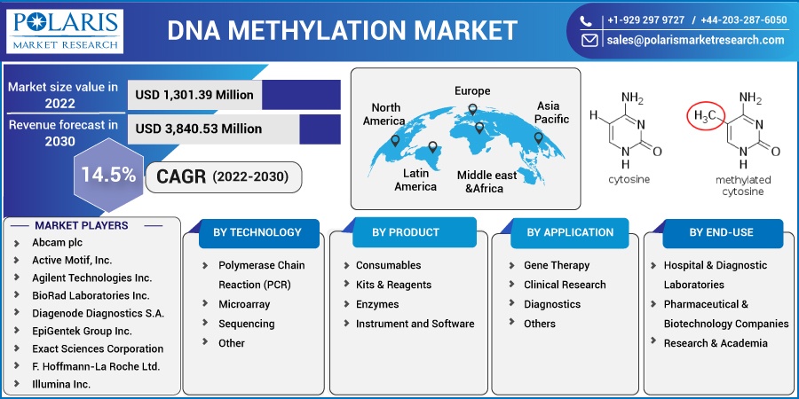 DNA Methylation Market