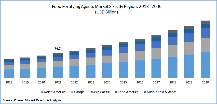 Food Fortifying Agents Market Size