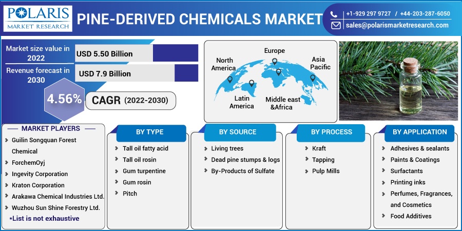 Pine-Derived Chemicals Market