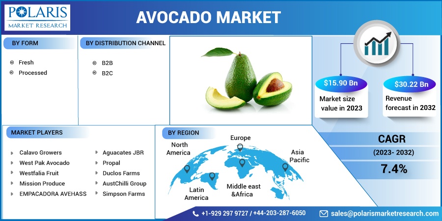 Avocado Market