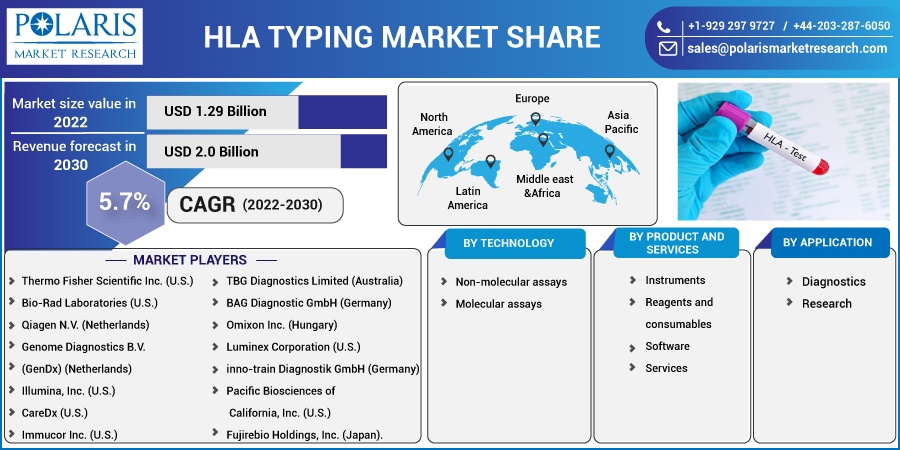 HLA Typing Market Share