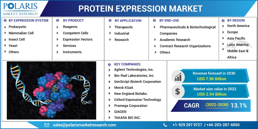 Protein Expression Market