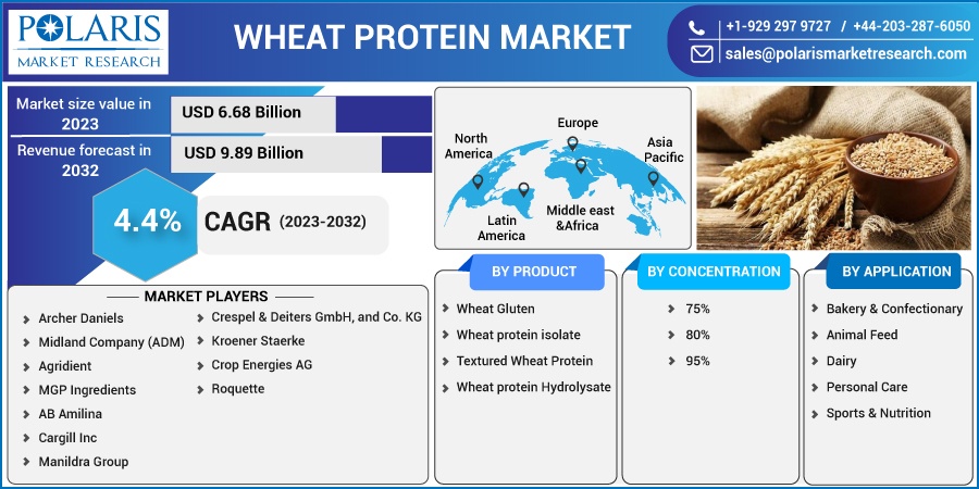 Wheat Protein Market